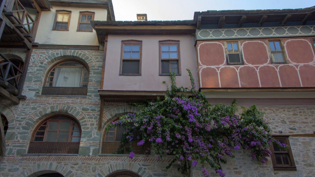 The interior courtyard, blossoming.