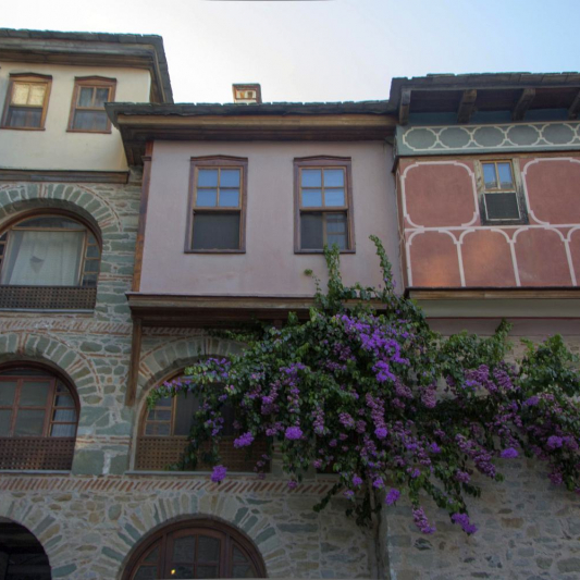 The interior courtyard, blossoming.