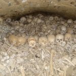 The bones of the dead fathers in the cemetery chapel.