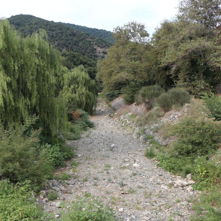 The overgrown riverbed of the torrent river that flows by the Monastery.