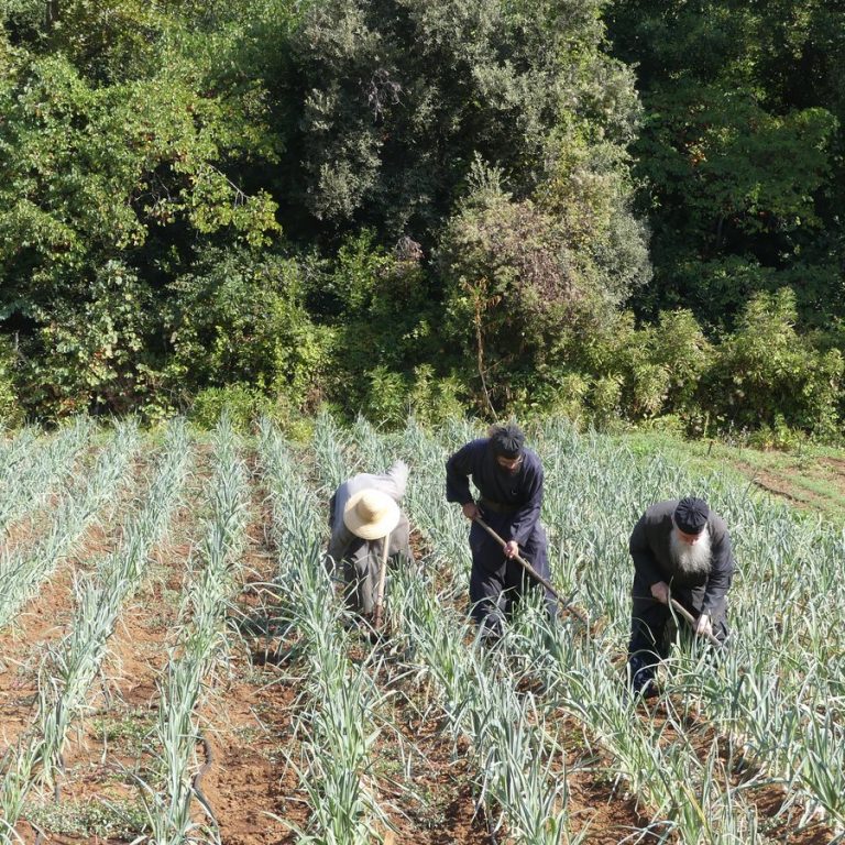 Work constitutes an important aspect of the monastic life.