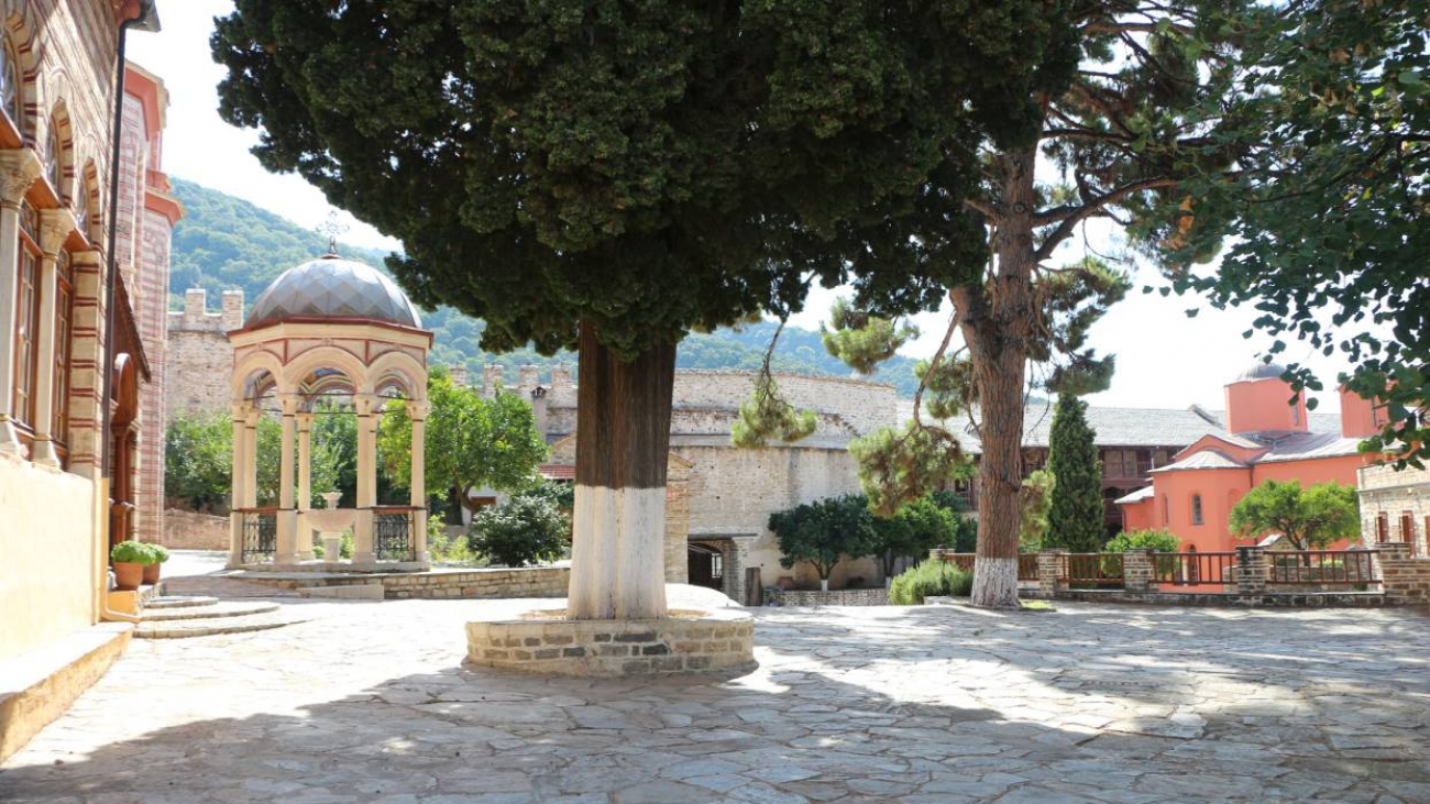 An old cypress tree in the centre of the courtyard with deep roots, like the faith of the saints.